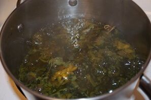 Rawatan urat varikos dengan decoctions